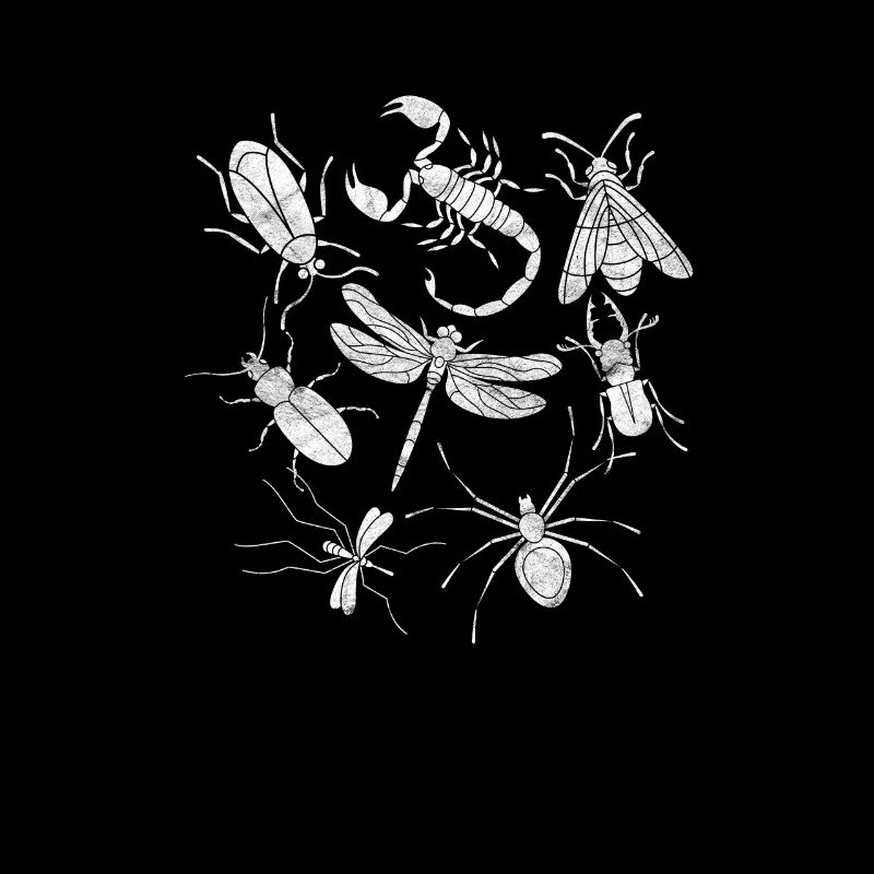 insectes