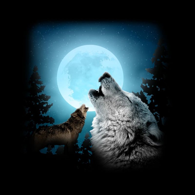 Wolves howl at the moon forest wolf lover