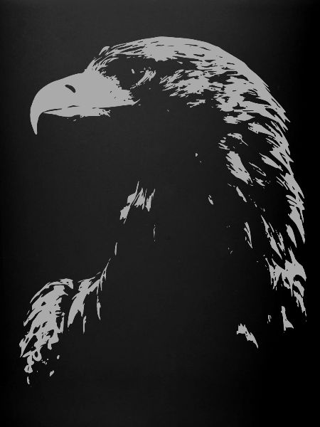 Aigle