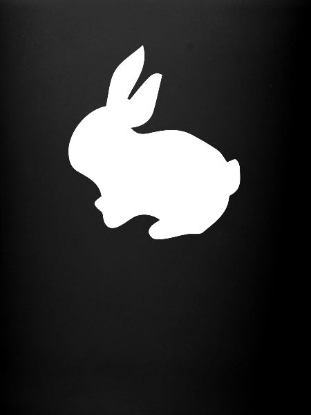 Lapin lapin mignon lapin