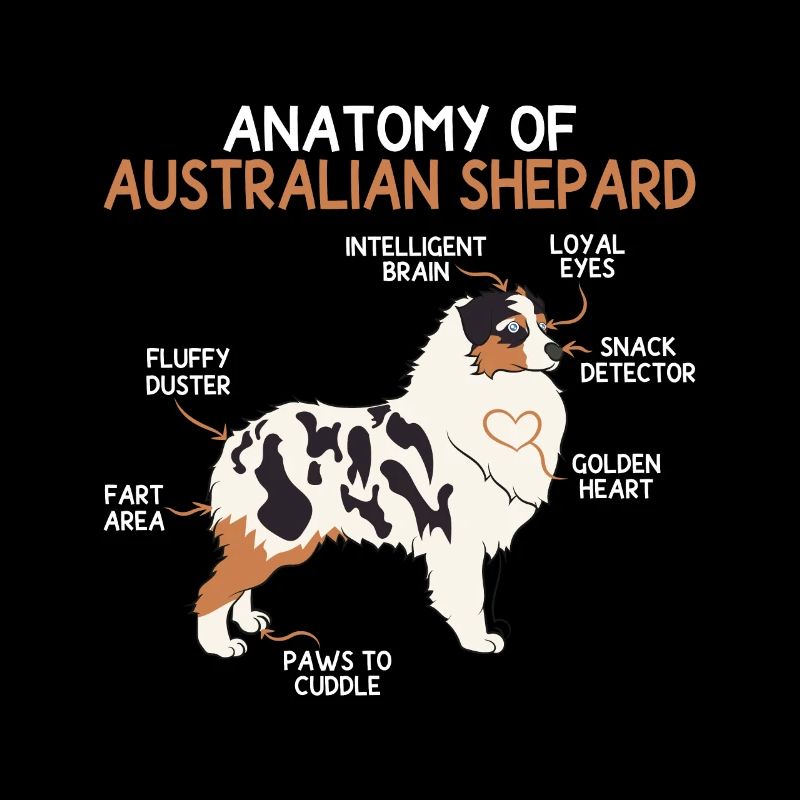 Anatomie Australian Shepard Hunderasse Geschenk