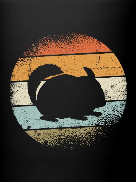 Chinchilla
