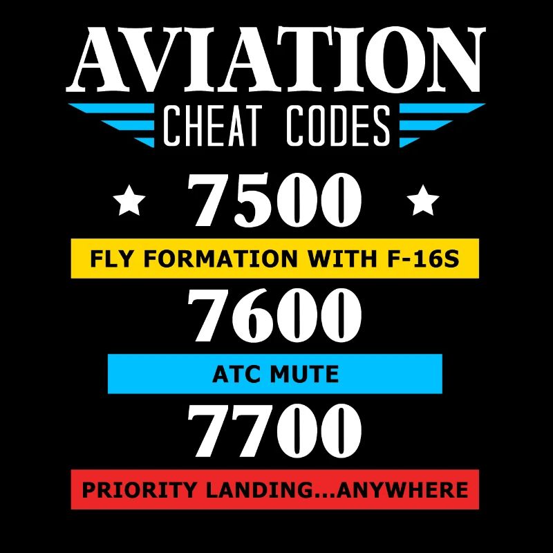Aviation Cheat Codes Geschenk, Aviation Geschenk,