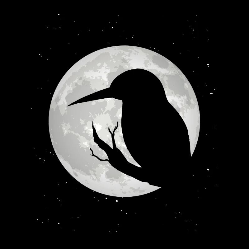 Eisvogel Mond Blauer Vogel