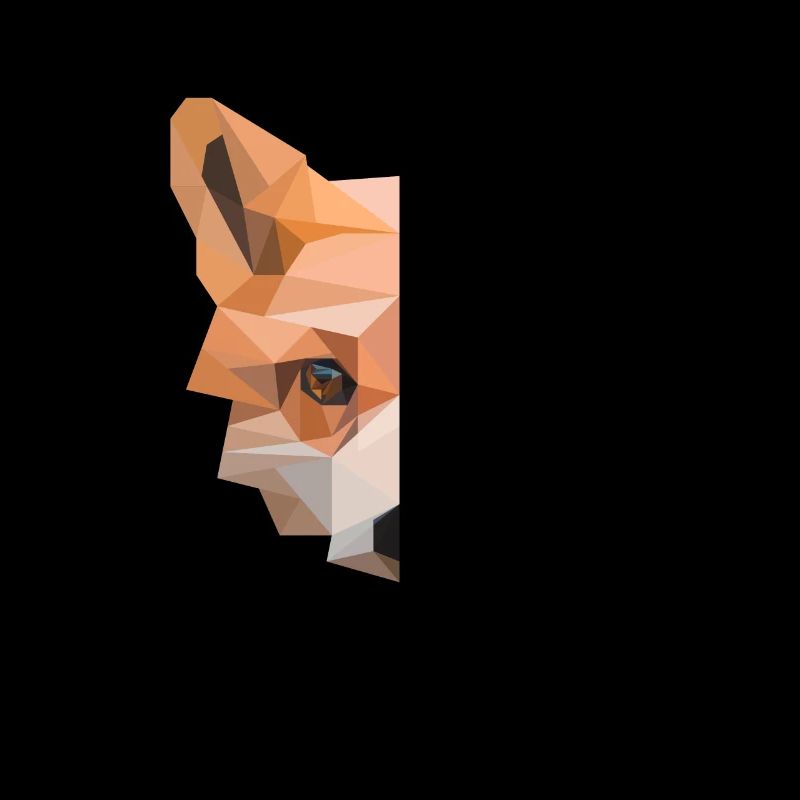 Fuchs Polygon - Rotfuchs Füchse Natur