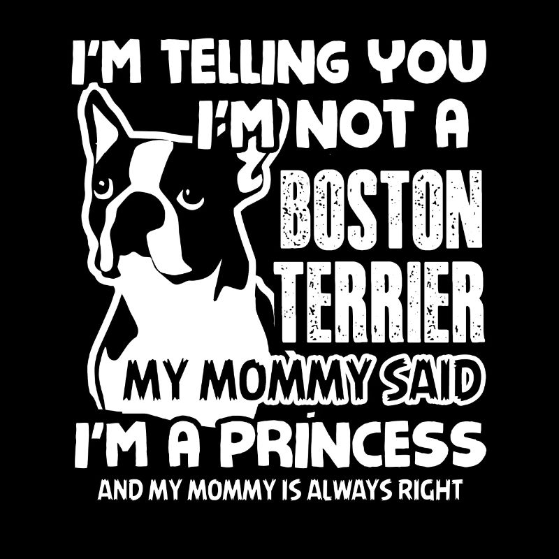 Chemises Princesse Boston Terrier