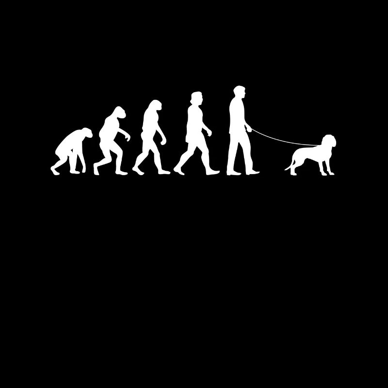 Bayerischer Gebirgsschweisshund Evolution BGS