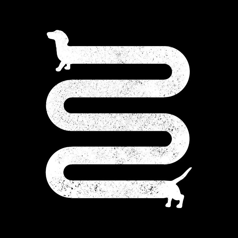 dachshund