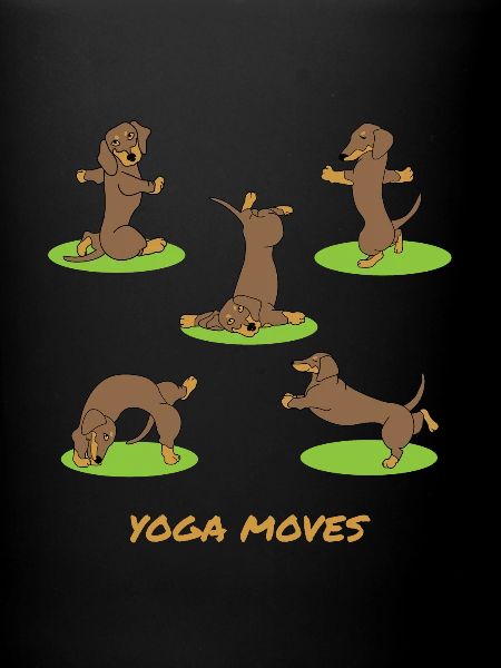 Yoga teckel