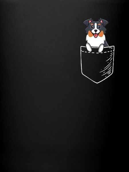 Australian Shepherd