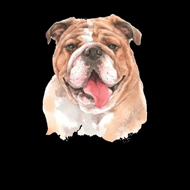 Bouledogue anglais