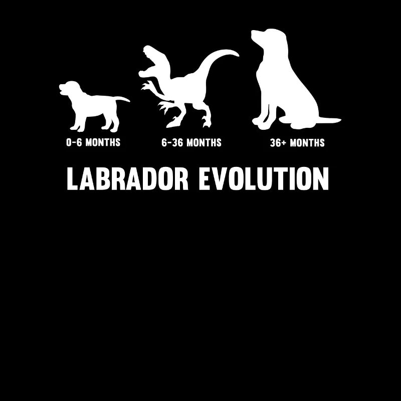 Labrador Evolution für einen Hundehalter Labrador
