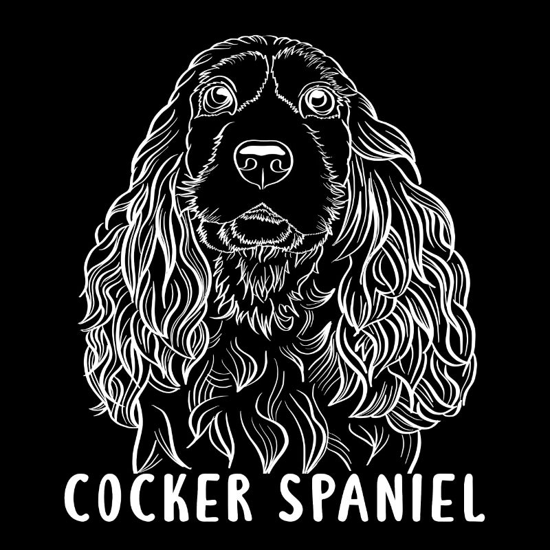 cocker spaniel hund