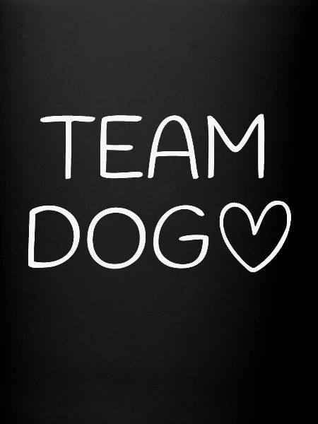 team dog