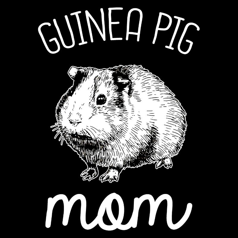 Cochons d'Inde Rosette Cochons d'Inde