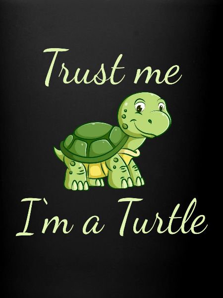 funny turtle