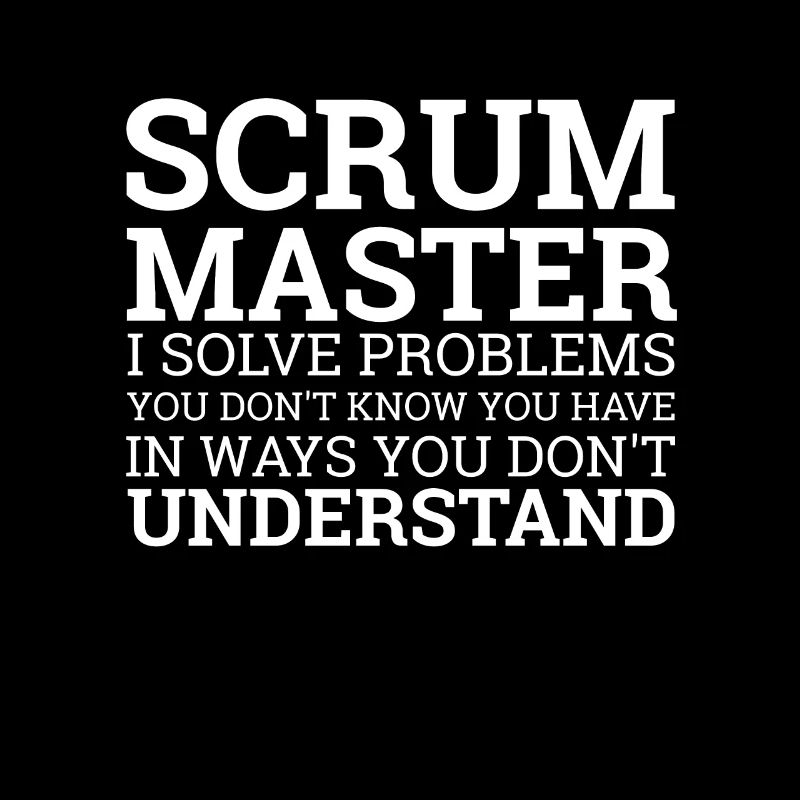 « Scrum Master » |