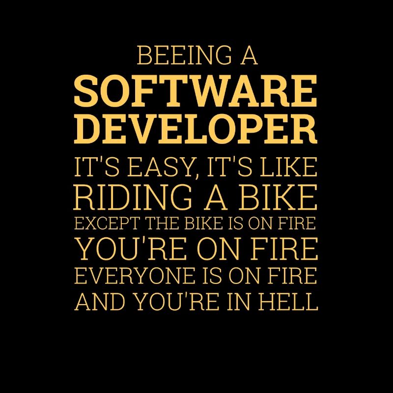« Software Developer- Riding a Bike » | Programmer