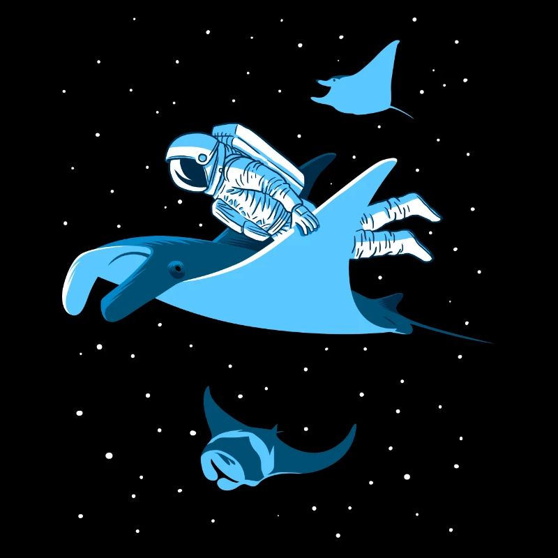 Couverture d'astronaute