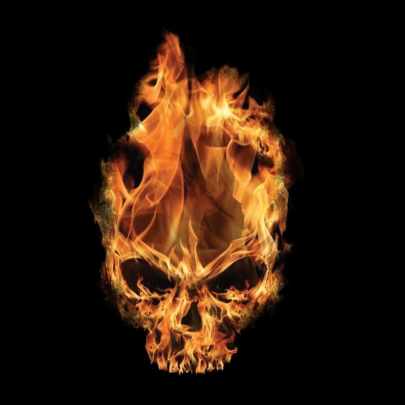 Skull