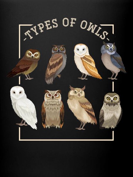 Chouette hibou