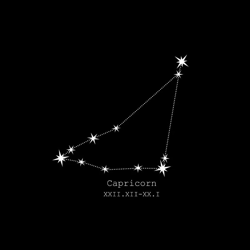 Steinbock/ Capricorn Sternzeichen