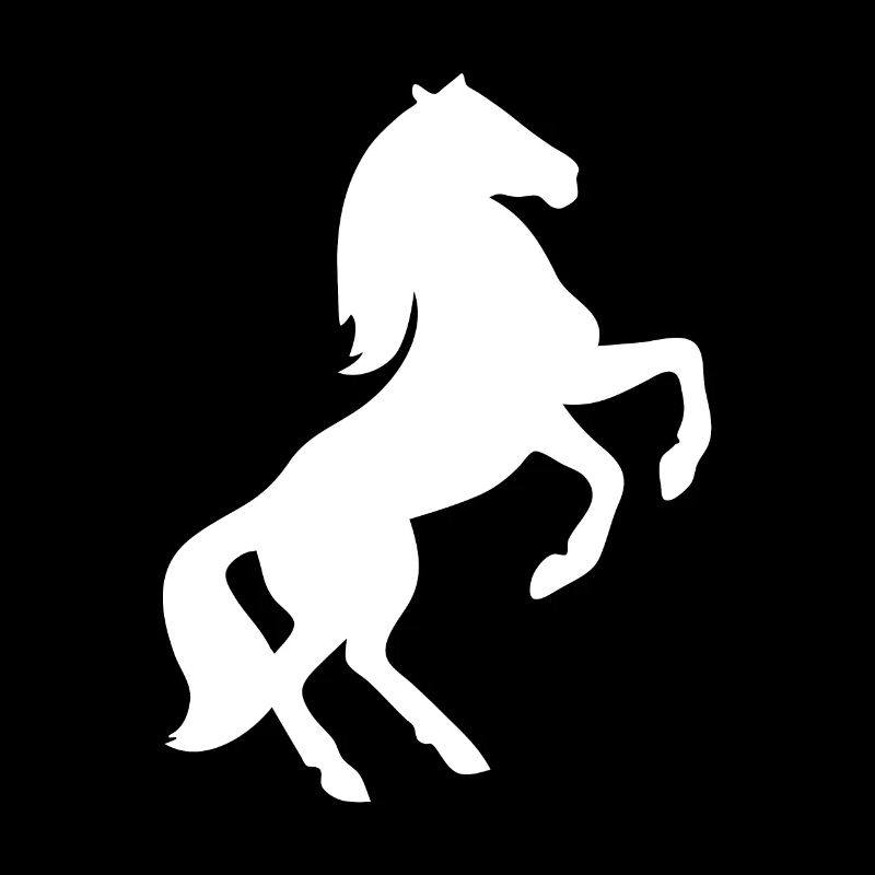 Chevaux équitation cavalière