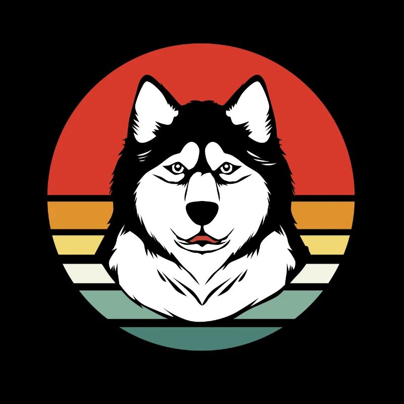 Chien de traîneau Malamute
