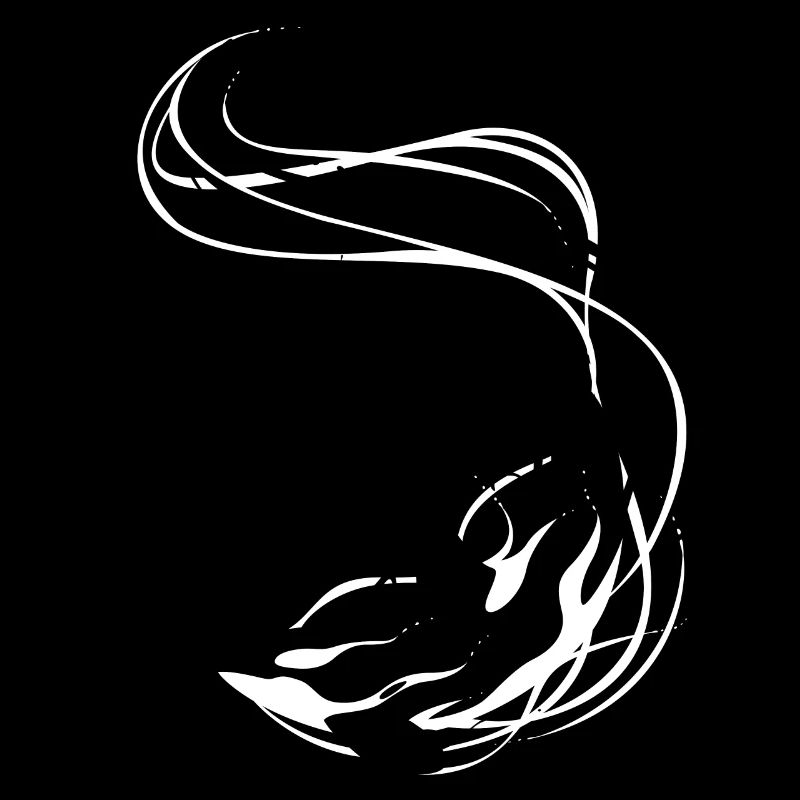 Killer whale flash