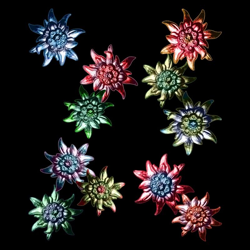Trachtendesign mit buntem Edelweiss /