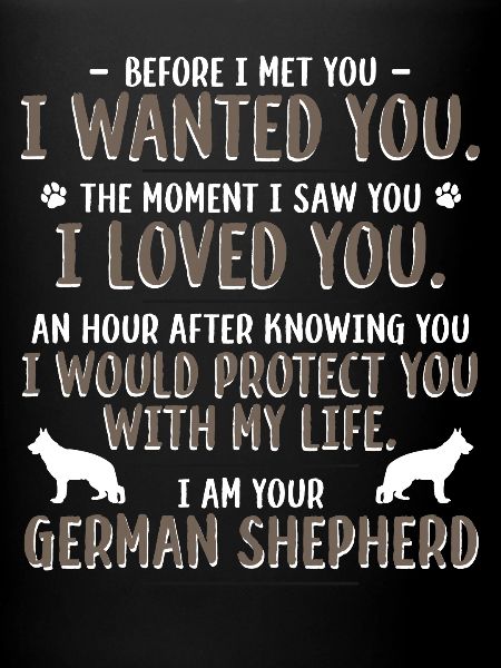 German shepherd dog