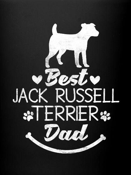 Jack Russel Terrier