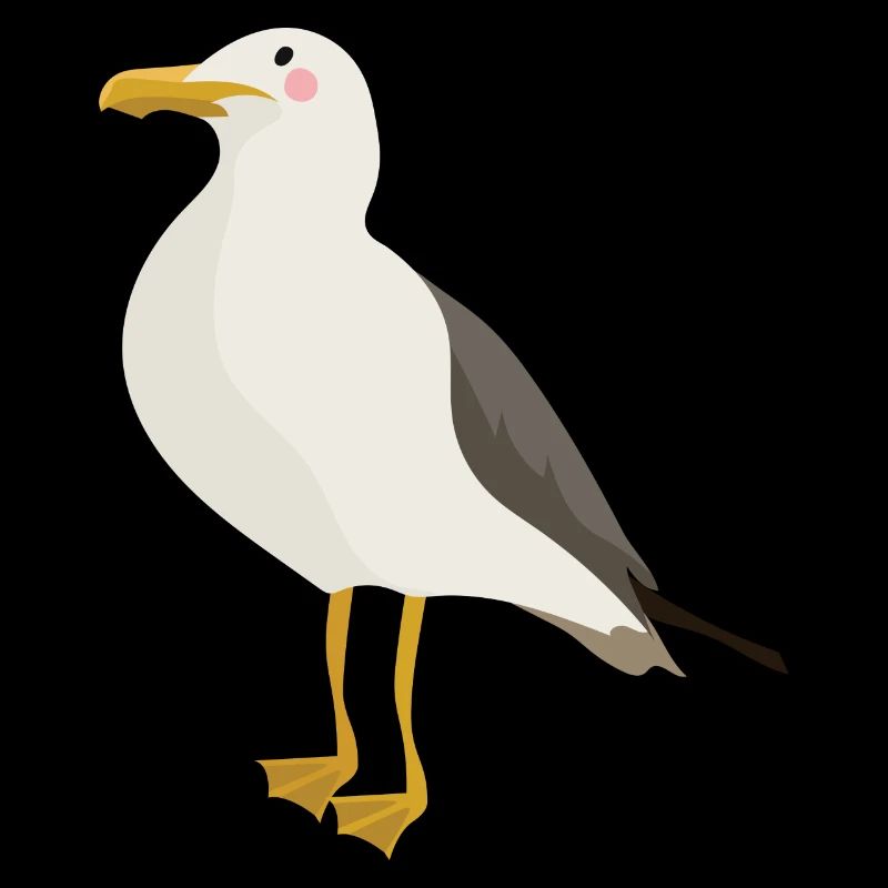 Seagull