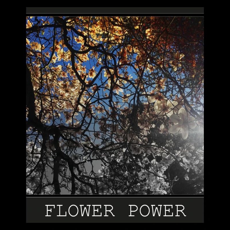 Flower Power
