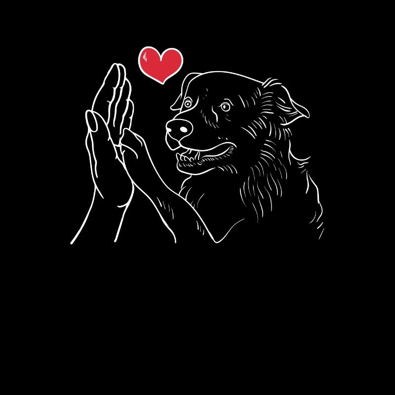 Australian Shepherd Paw Handshake Aussie Lover