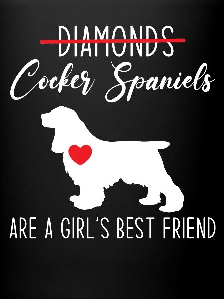 Cocker Spaniel