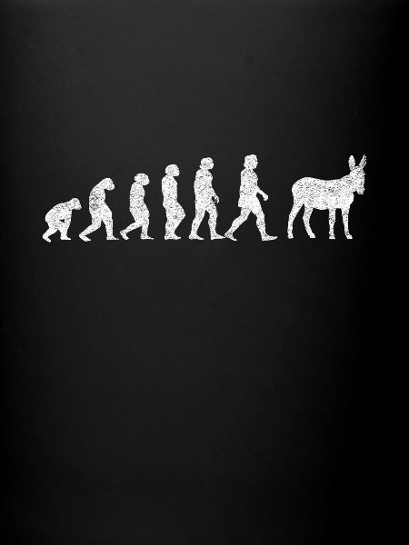 Âne mule Mulis Evolution
