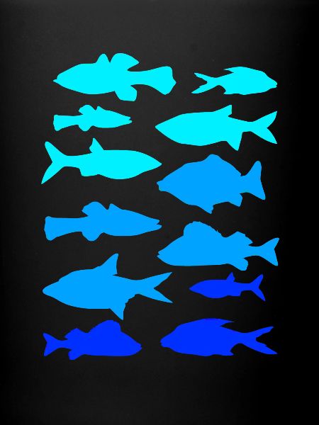 Pêcheur carpe brochet