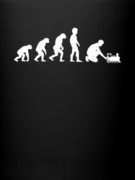 Evolution train miniature