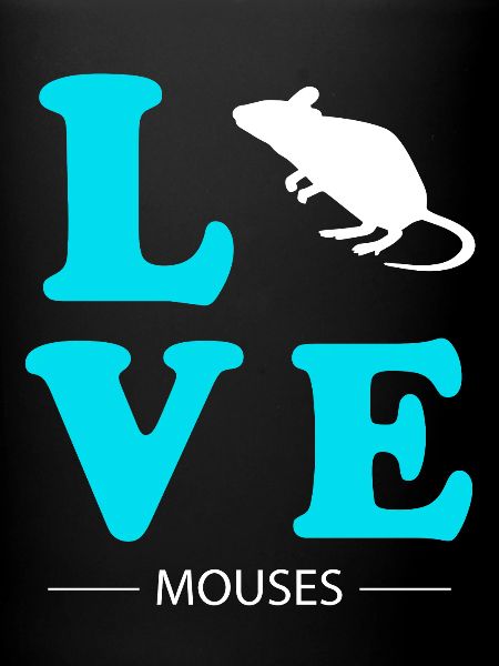 mouse