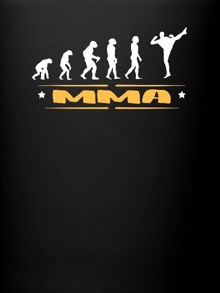 EVOLUTION MMA