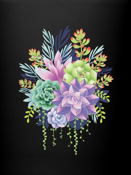 Succulentes