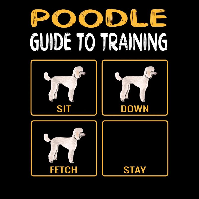 Guide de caniche à la formation de l’obéissance de chien