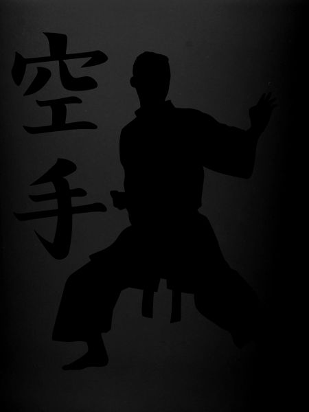 karate kanji speciale