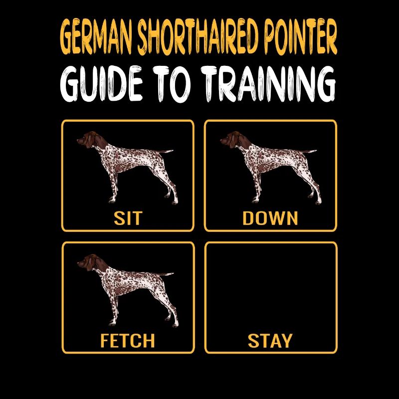 German Shorthaired Pointer Guide To Training Dog O