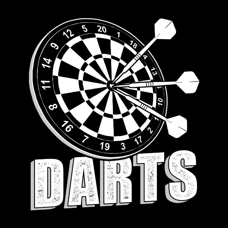 Dartboard Darts Gift Dart Arrows