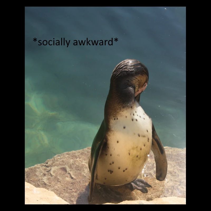 socially awkward