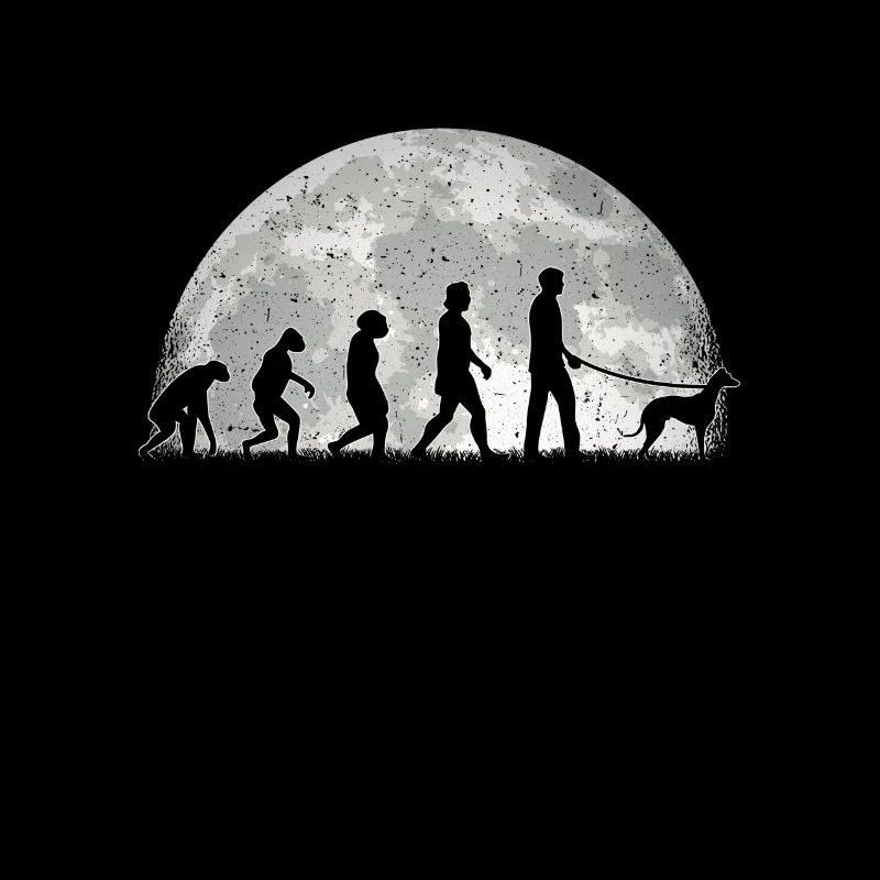 Galgo Español Lévrier espagnol