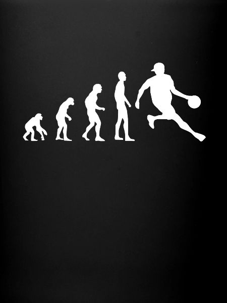 Evolution Basketball