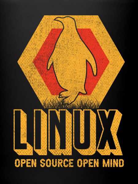 Linux Geek Informaticien